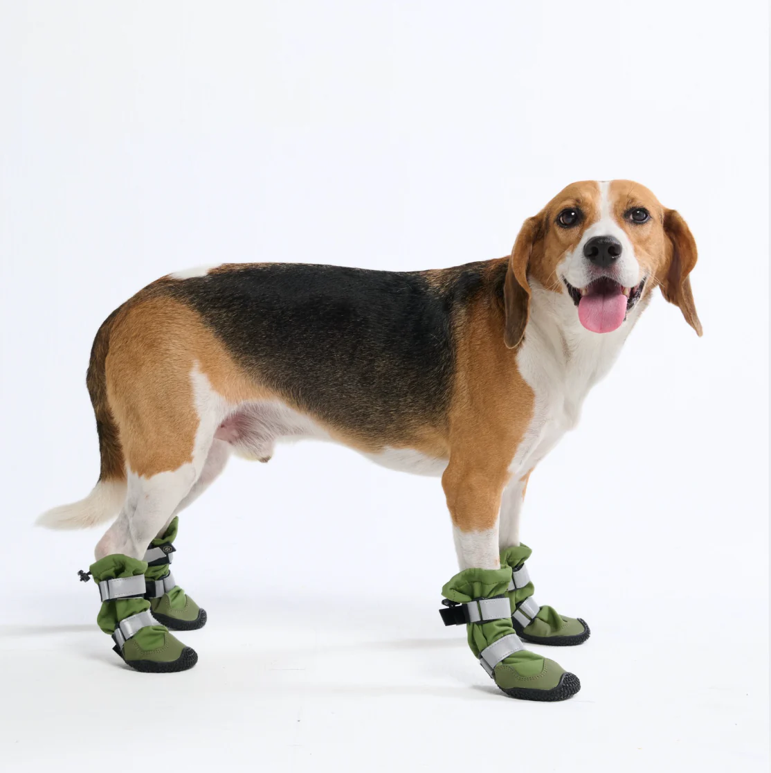 Stivali per cani Flex Shell impermeabili - Image 10