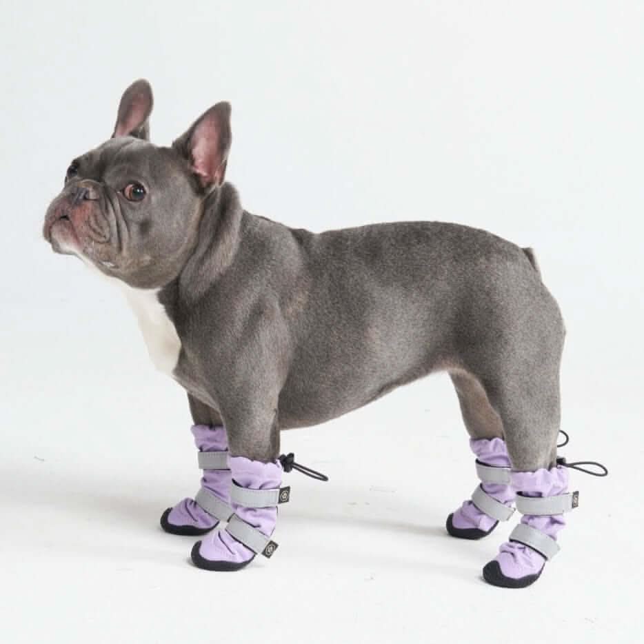 Stivali per cani Flex Shell impermeabili - Image 19