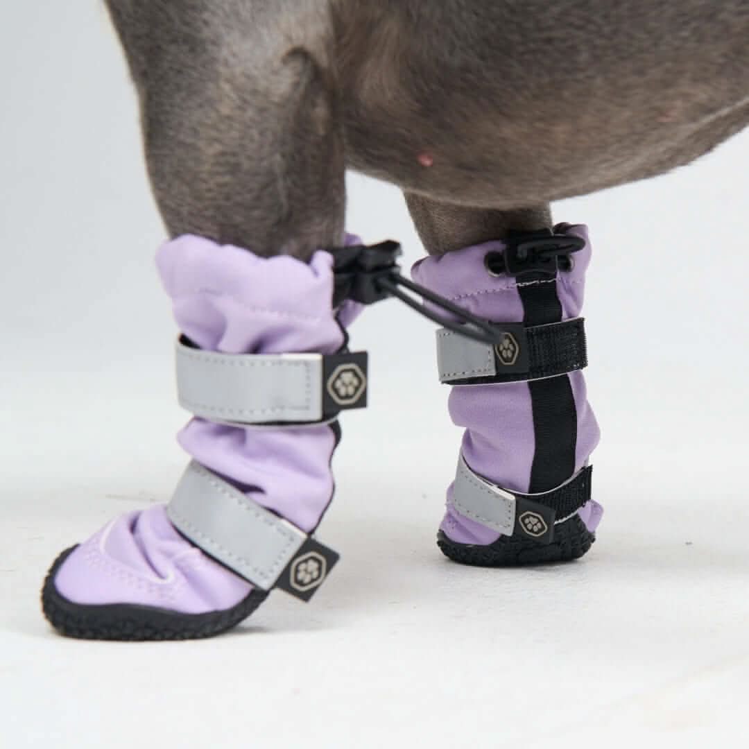 Stivali per cani Flex Shell impermeabili - Image 22