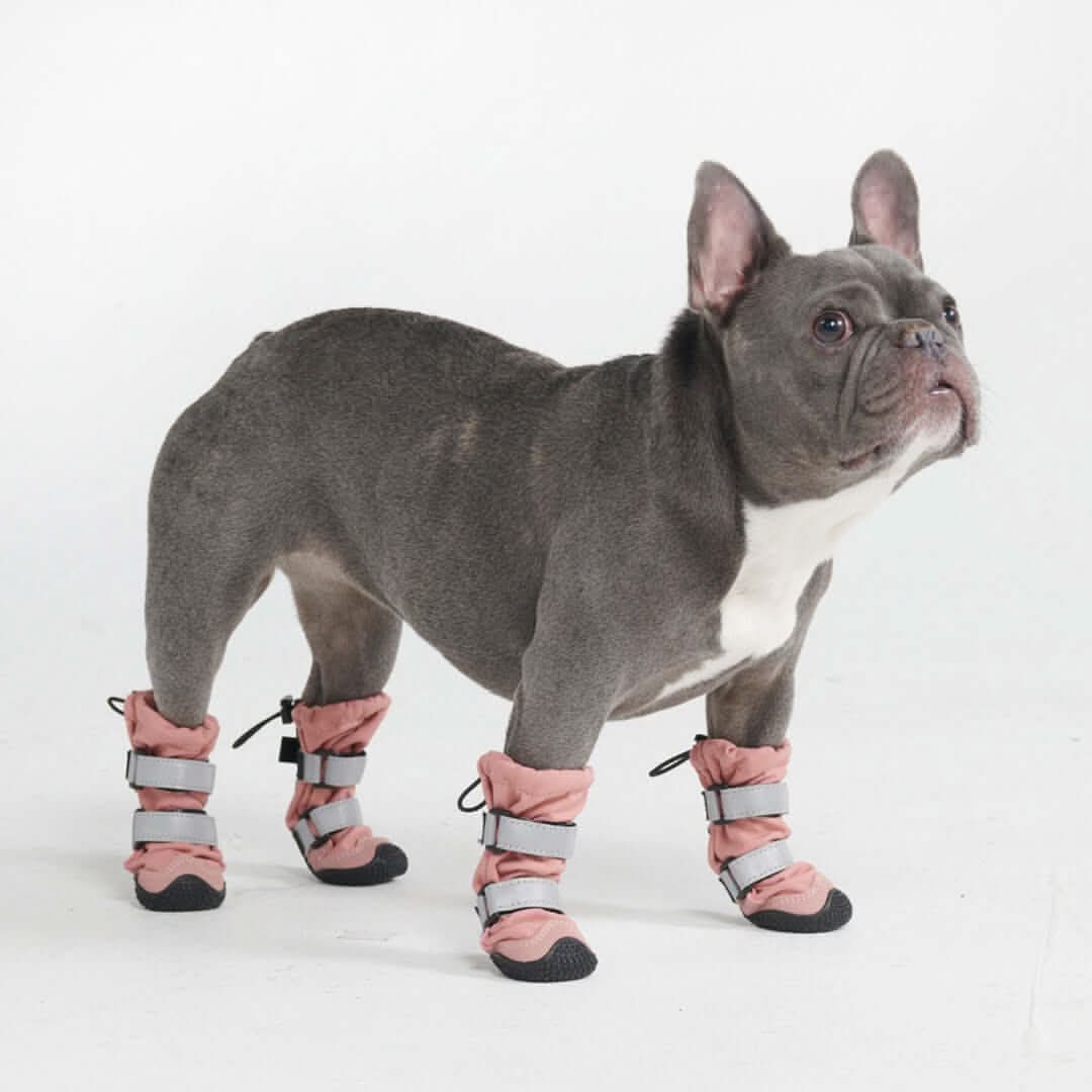 Stivali per cani Flex Shell impermeabili - Image 33