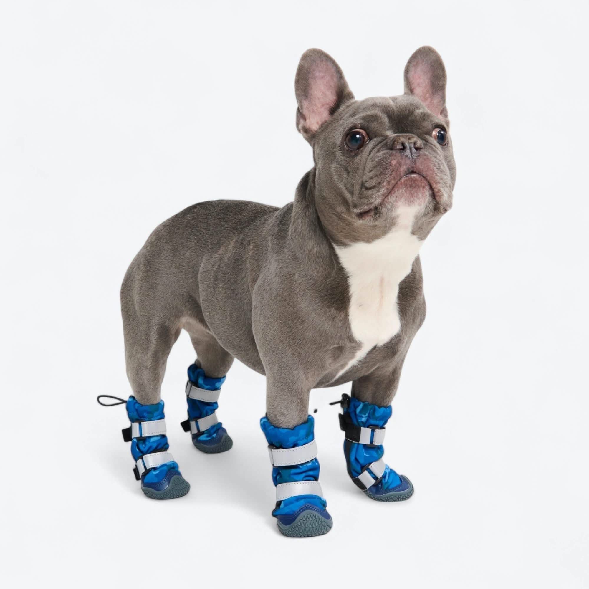 Stivali per cani Flex Shell impermeabili - Image 49