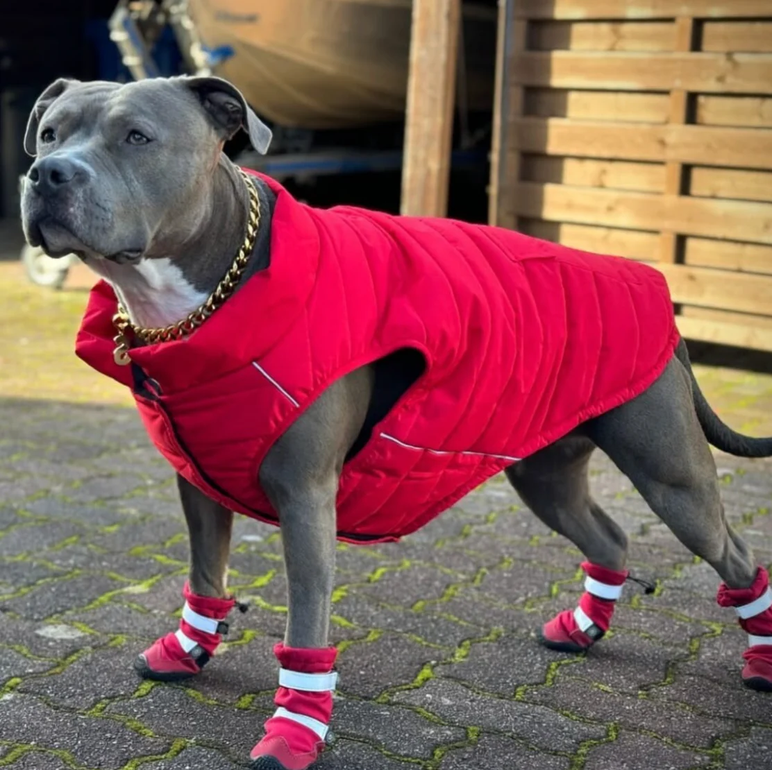 Stivali per cani resistenti all'acqua con struttura flessibile - Rosso - Image 5