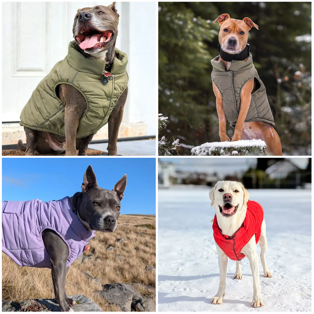 Giacca impermeabile WarmShield™ - Image 115