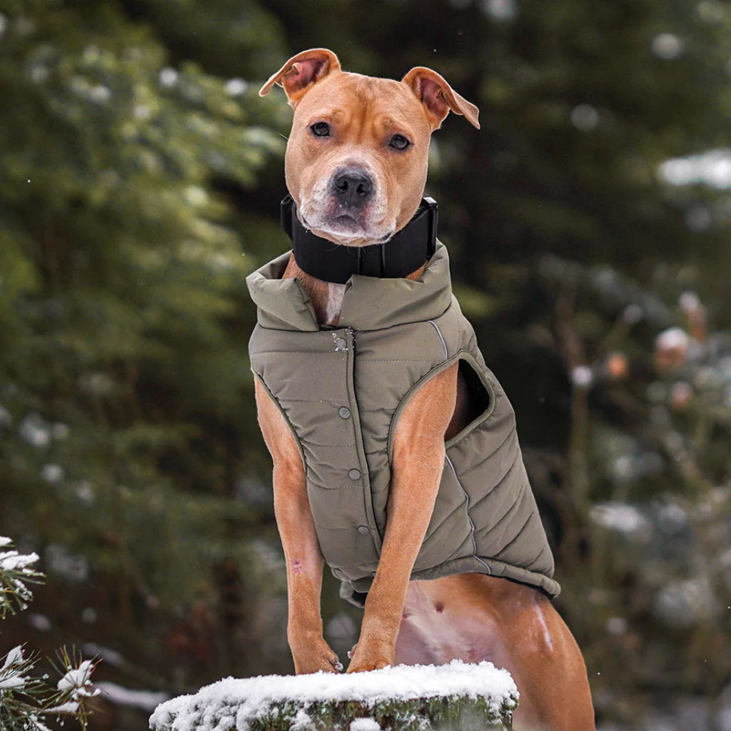 Giacca impermeabile WarmShield™ - Image 15