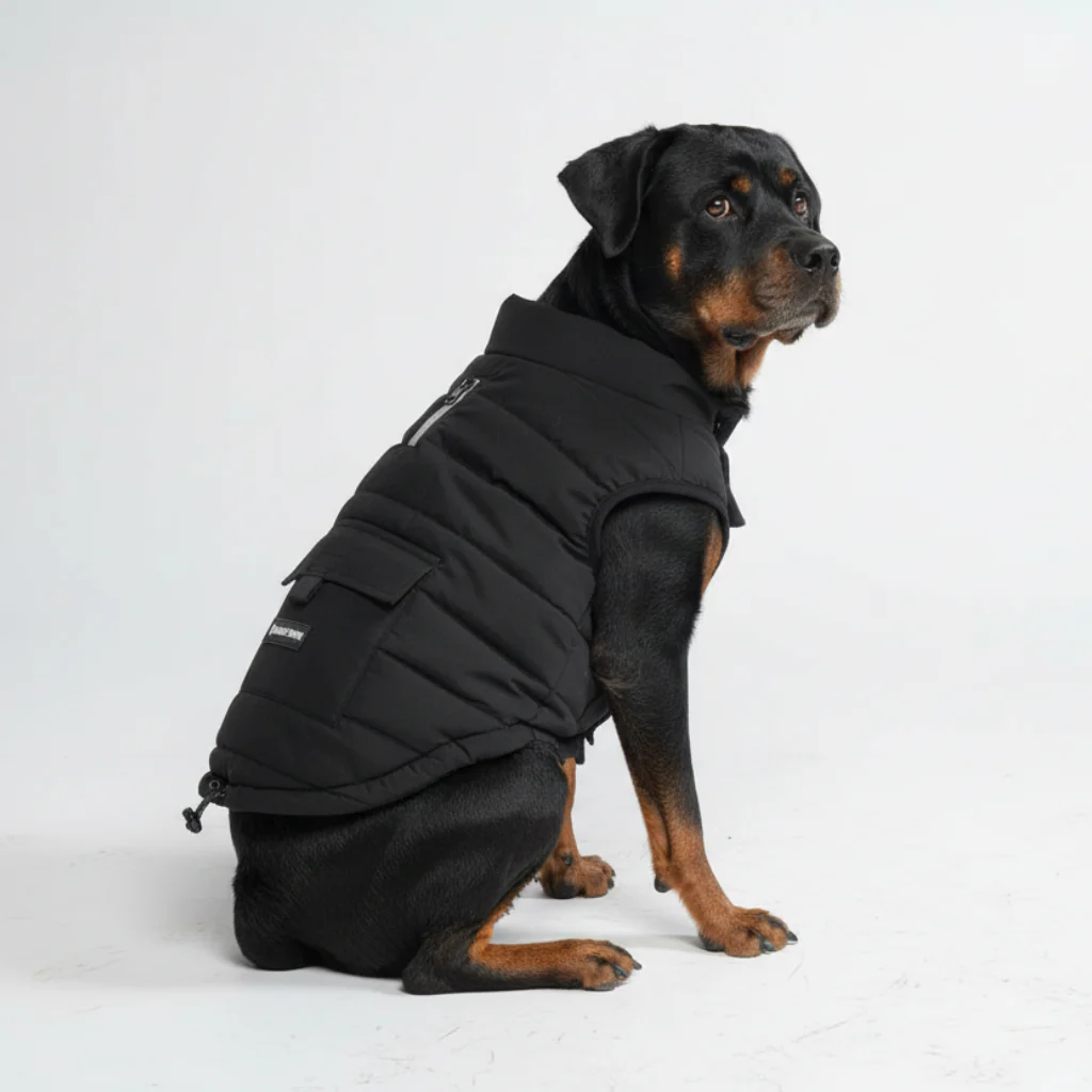 Giacca impermeabile WarmShield™ - Image 44