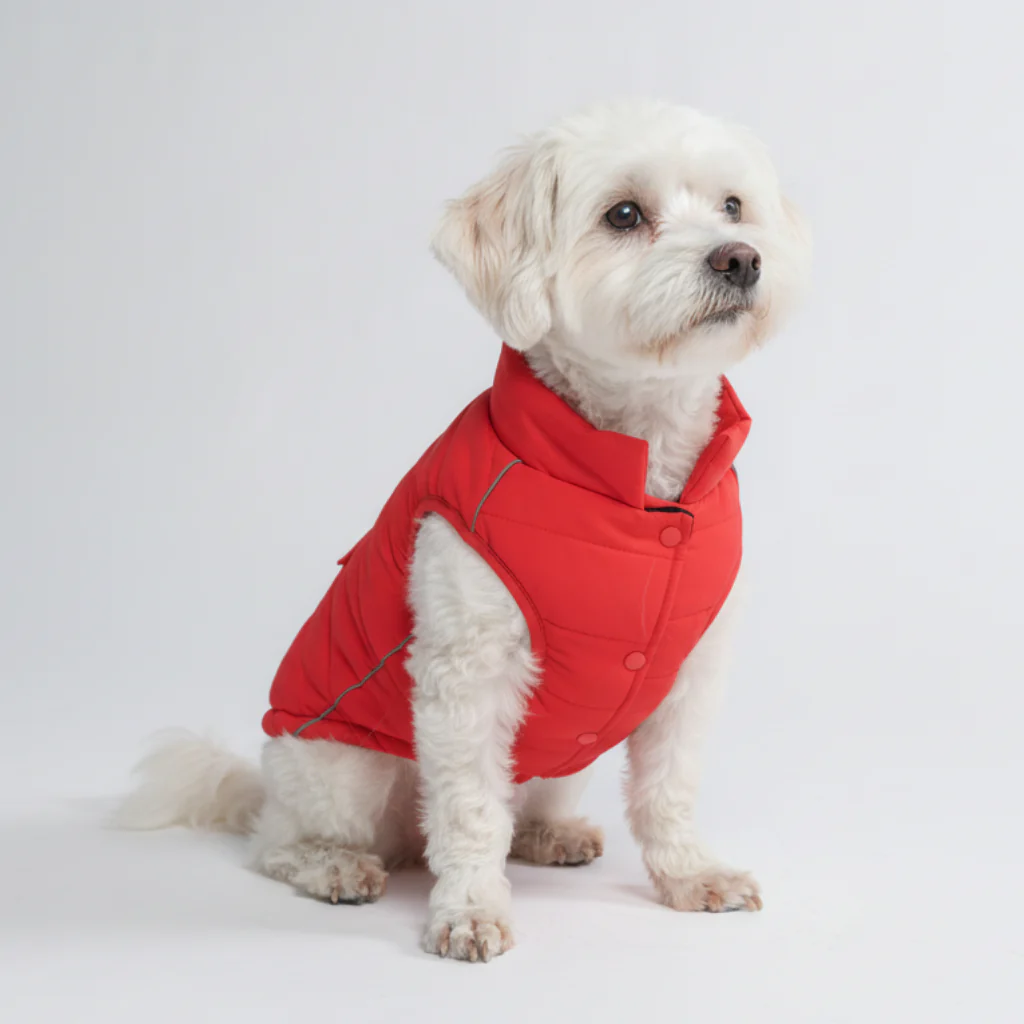 Giacca impermeabile WarmShield™ - Image 77