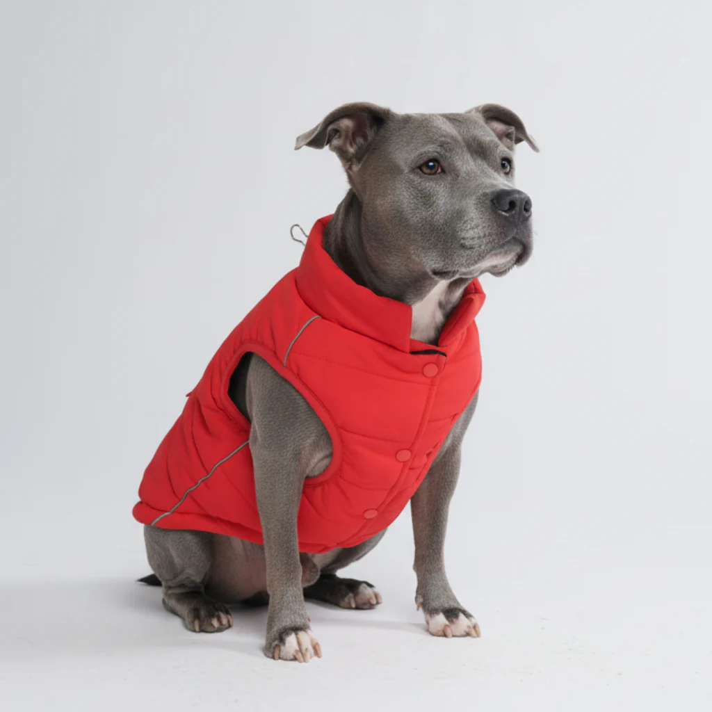 Giacca impermeabile WarmShield™ - Image 80