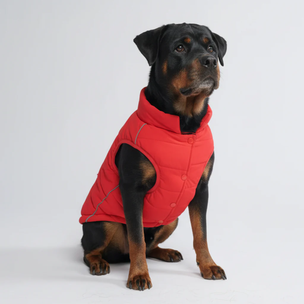 Giacca impermeabile WarmShield™ - Image 81
