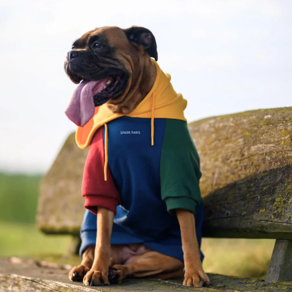 Maglione per Cani - Primario - Image 12