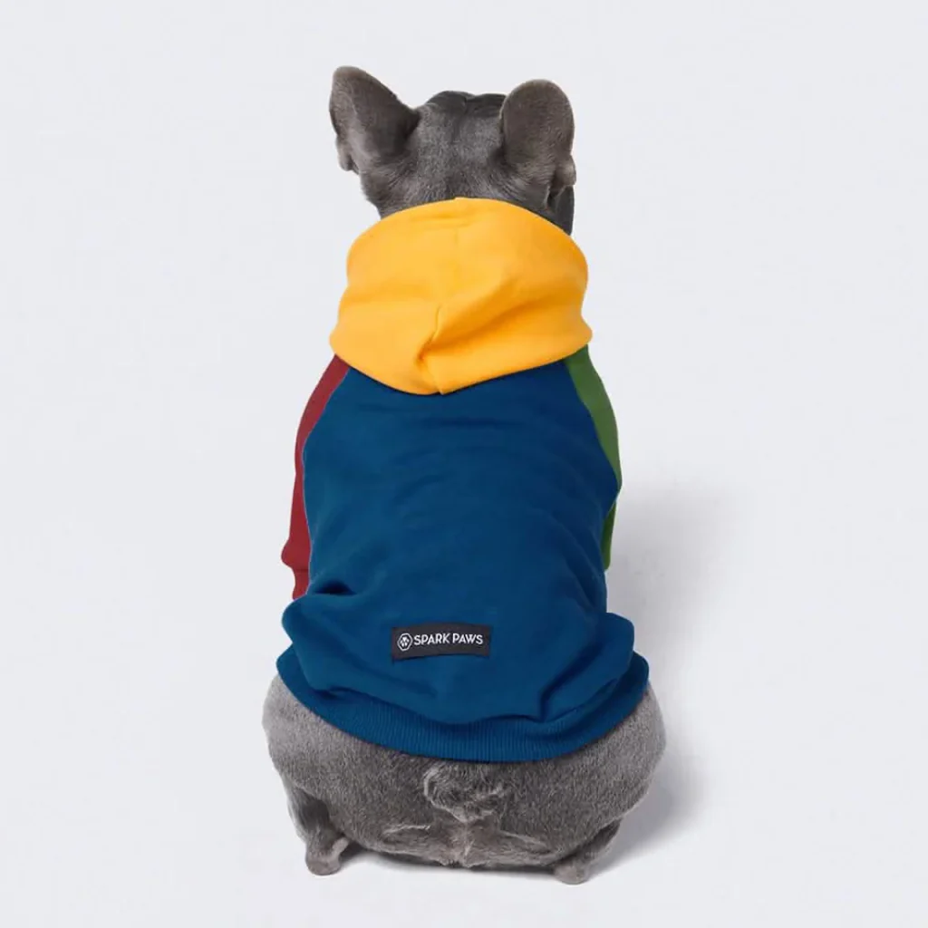 Maglione per Cani - Primario - Image 9